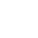 Twitter's Logo - A white iconized bird